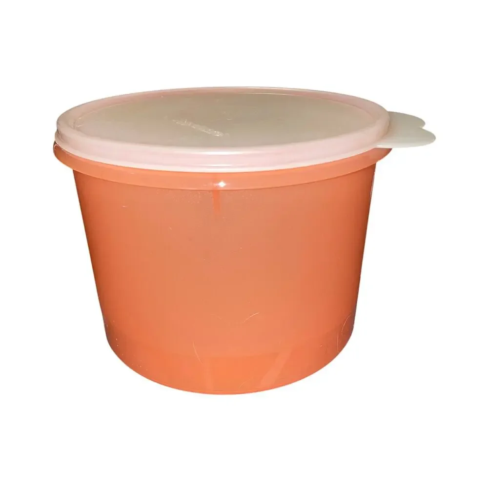 Tupperware Econo Canisters Nesting Set 20 10 8 Cup Butterfly Lid Kitchen Vintage